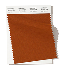 PANTONE 18-1155.jpg